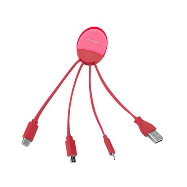 4-in-1 Charging Cable